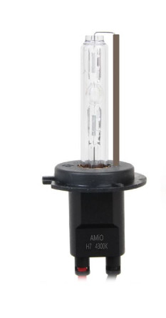 Ampoule xénon H1 6K