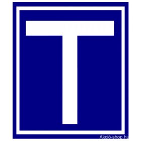 Tanuló vezető T betű mágneses Normal 20*23cm